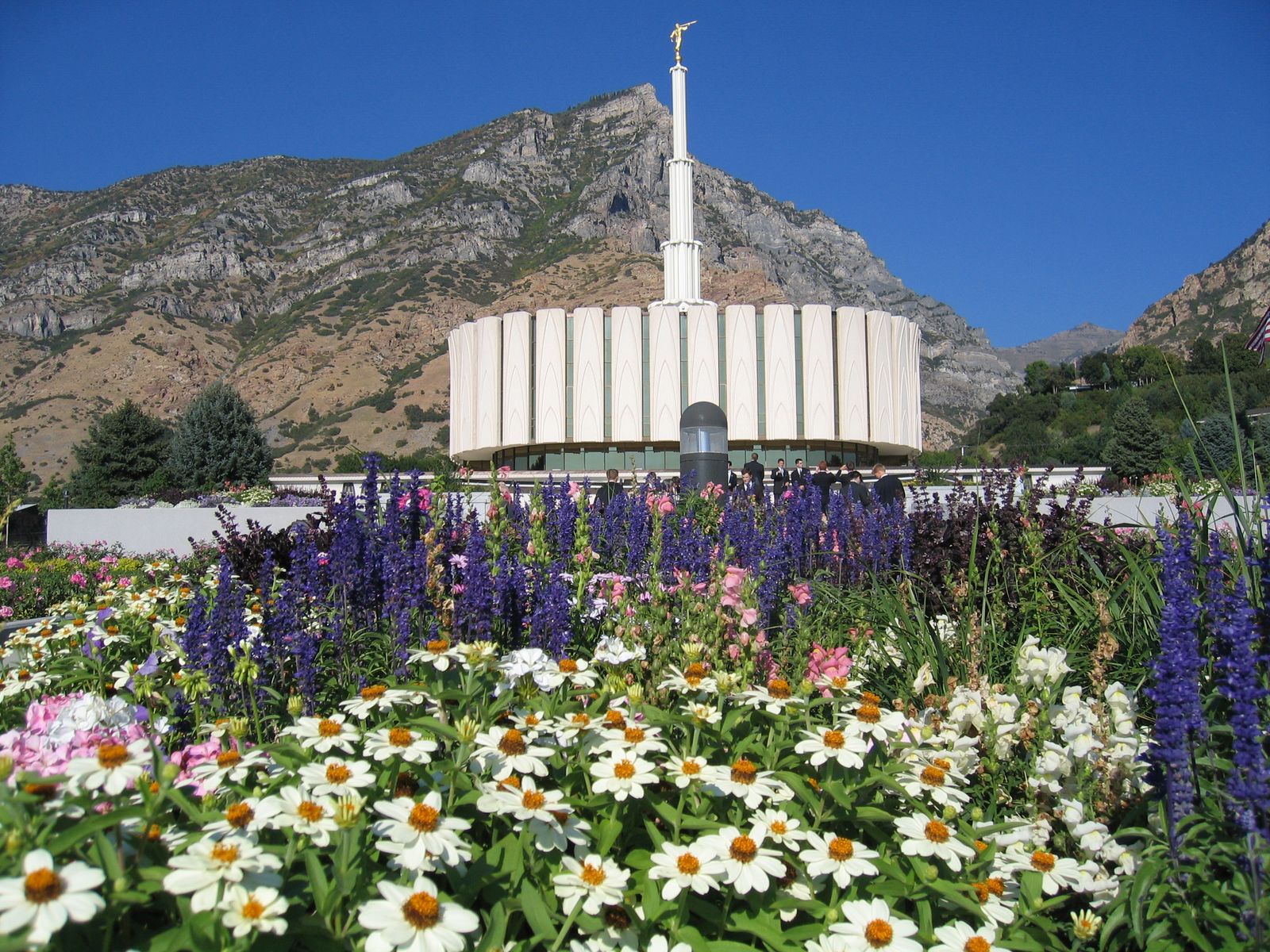 Flowerss at the Provo Temple