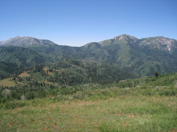 Bald Mountain is bald because vegetation will not grow readily above 10,500 feet