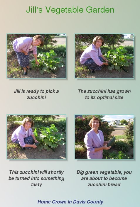 Jill picks her zucchini to make bread