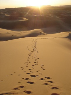 Gobi Desert