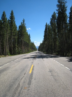 Yellowstone National Park.