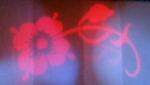 Image of the Pimpernel's flower on stage curtains.