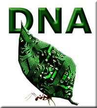 Digital Network Army.