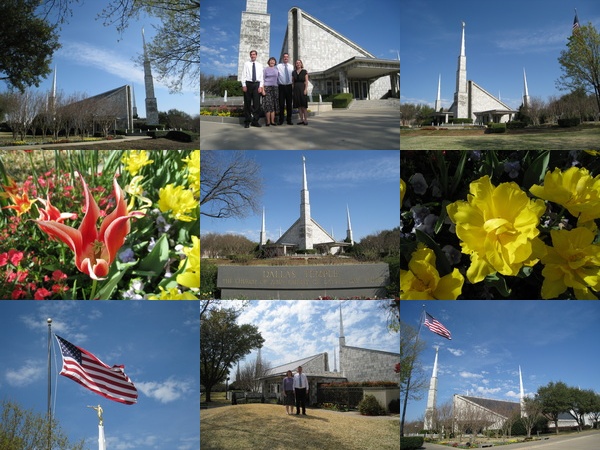 Dallas Temple Collage