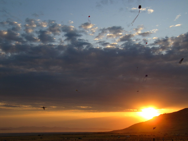 Kites in the sunset.