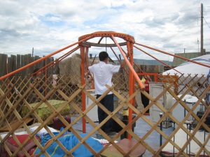 Daniel helping to construct a ger.
