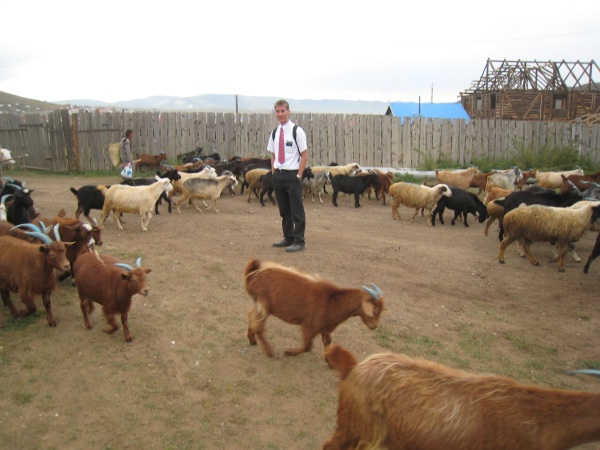 Daniel with the goats.