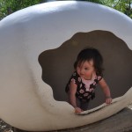 Aurora in egg Aurora in egg