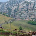 Grassland in Inner Mongolia