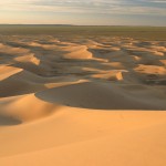Khongoryn Els sand dunes Gobi Desert Mongolia Khongoryn Els sand dunes Gobi Desert Mongolia
