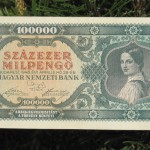 Hungarian Milpengo