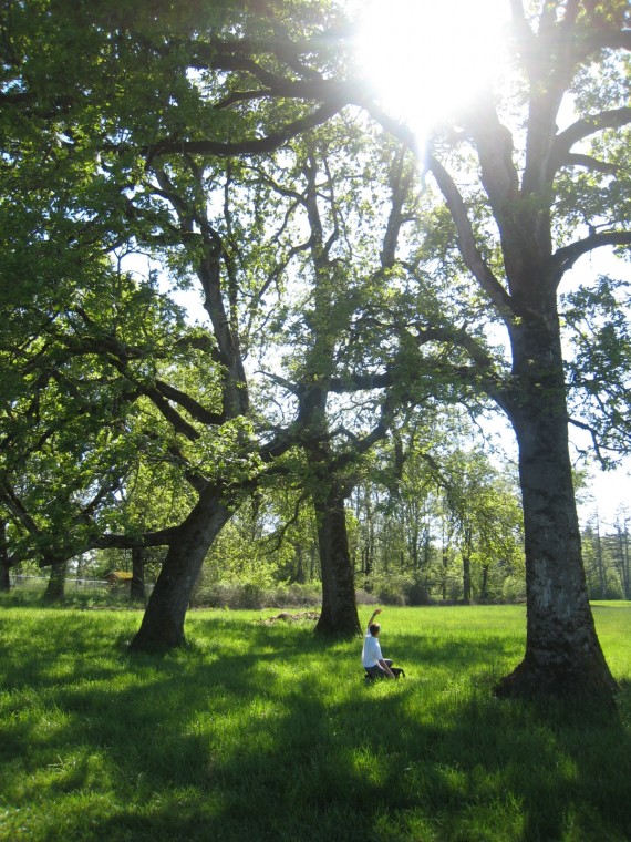 Sacred Grove look alike