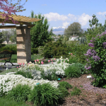 Sustainable landscaping