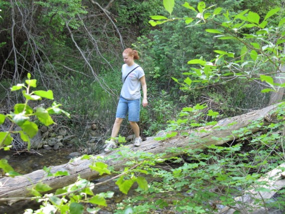 City Creek Canyon Trail