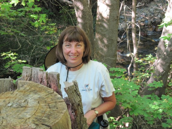 City Creek Canyon Trail