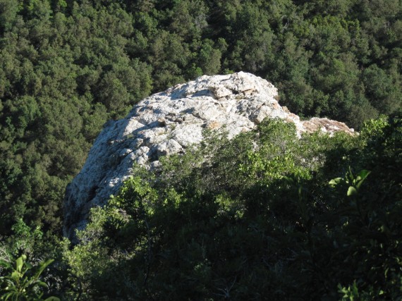 Mueller Park Trail