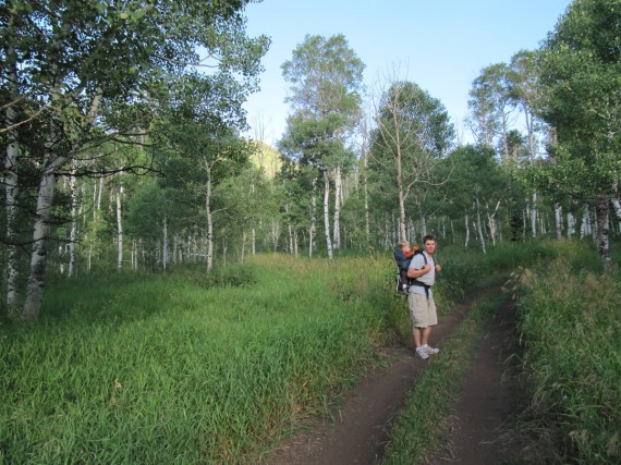 Wasatch Mountain State Park