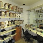 Wigs ready for showtime Wigs ready for showtime