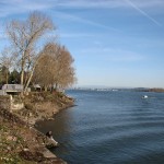 Old Apple Tree Park by the Columbia River, Vancouver, Washington Old Apple Tree Park by the Columbia River, Vancouver, Washington
