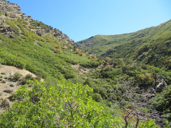 Deuel Creek Hike