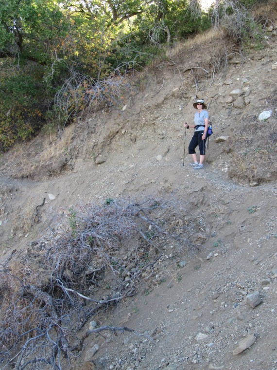 Deuel Creek Hike