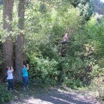 Deuel Creek Hike Deuel Creek Hike