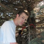 Give Your Tree A New Look Give Your Tree A New Look