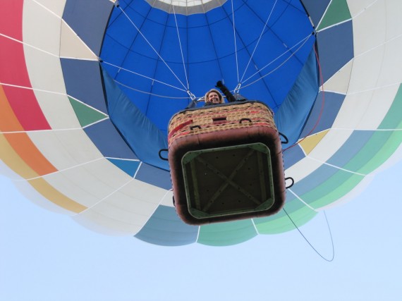 Hot Air Balloons Over Ponds Park