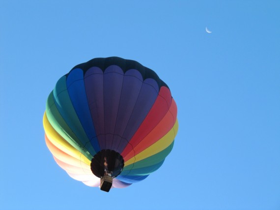 Hot Air balloons Over Ponds Park