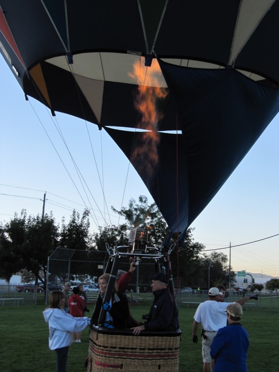 Hot Air Balloons Over Ponds Park