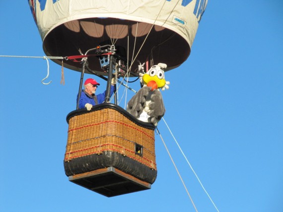 Hot Air Balloons Over Ponds Park