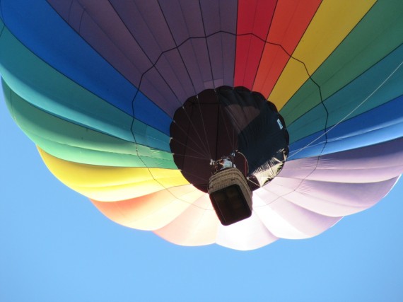 Hot Air Balloons Over Ponds Park