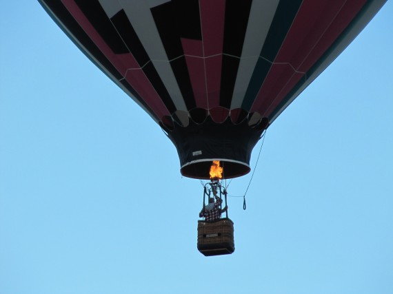 Hot Air Balloons Over Ponds Park