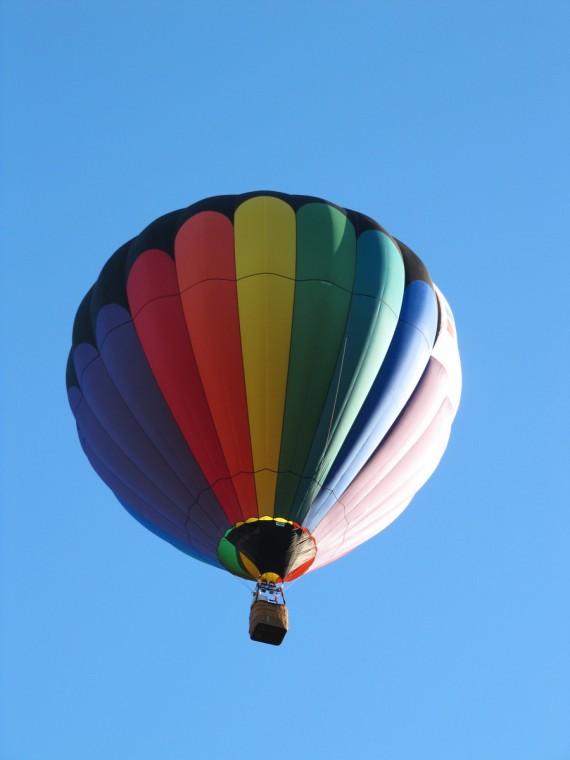 Hot Air Balloons Over Ponds Park