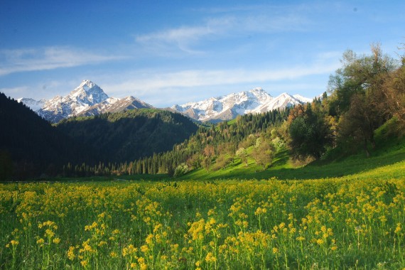 Kuerdening Valley Yili Xinjiang China