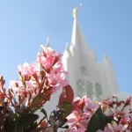 Photos on the New LDS.org Website