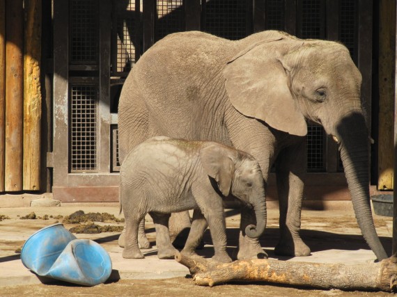 Zuri with mother