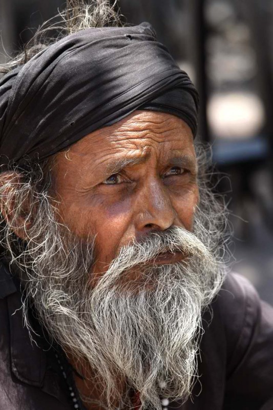 Bearded Indian