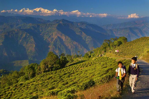 Darjeeling West Bengal India