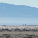 Great Salt Lake Couple Great Salt Lake Couple