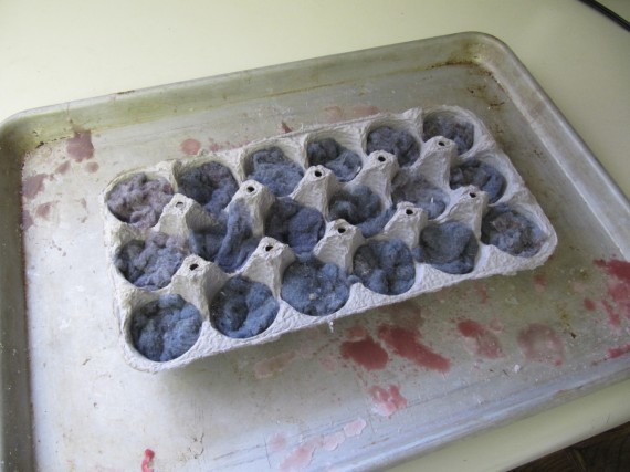 Egg carton with dryer lint