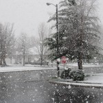 Big snowflakes Big snowflakes