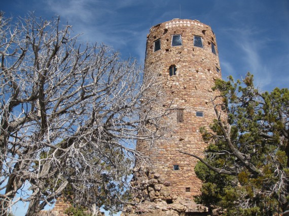 Grand Canyon Watchtower trees