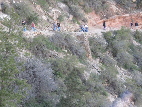 Bright Angel Trail