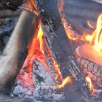 North Fork Park campfire