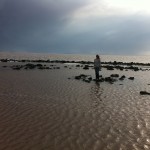 Spiral Jetty center