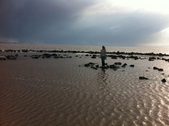 Spiral Jetty center