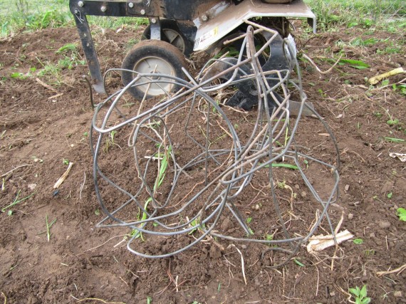 Tomato cage caught in the tiller