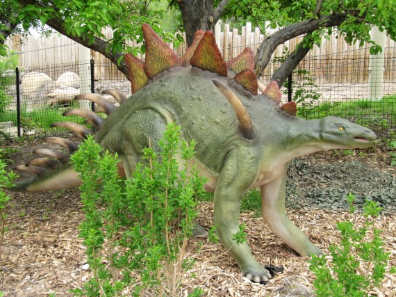 Kentrosaurus