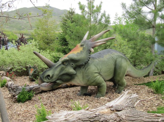 Styracosaurus
